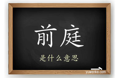 前庭