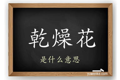 乾燥花