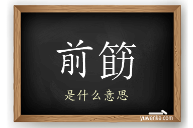 前筯