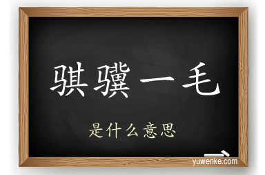 骐骥一毛