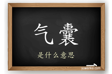 气囊