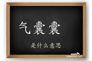 气囊囊 