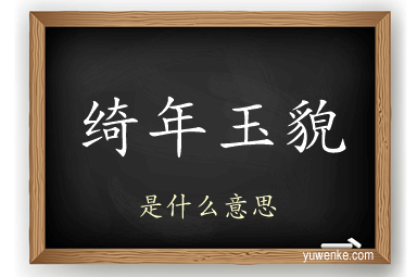 绮年玉貌