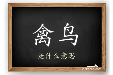 禽鸟