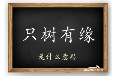 只树有缘