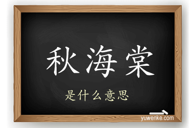 秋海棠