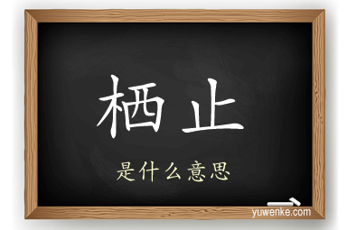 栖止