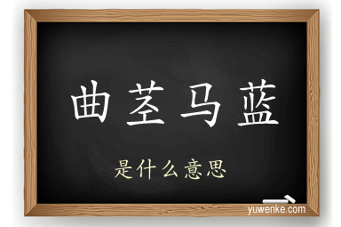 曲茎马蓝