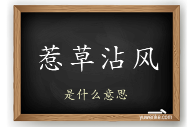 惹草沾风