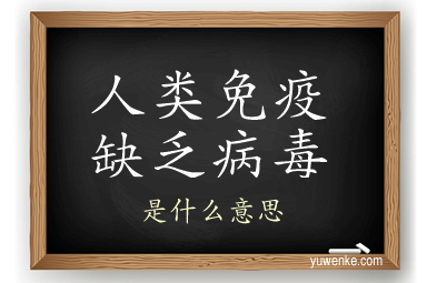 人类免疫缺乏病毒