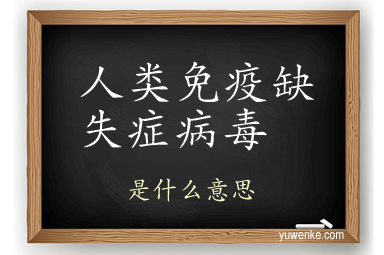 人类免疫缺失症病毒