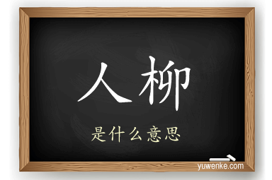 人柳