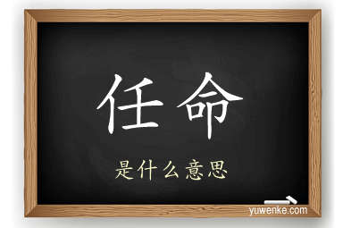 任命
