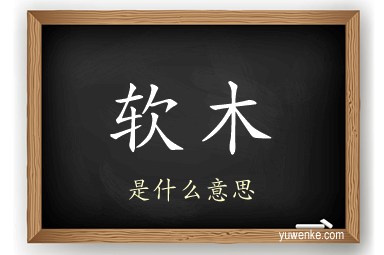 软木