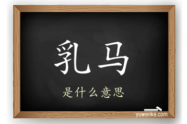 乳马