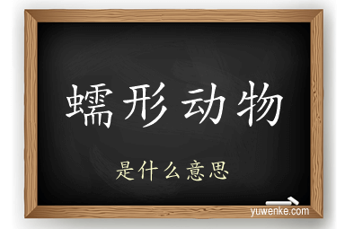 蠕形动物
