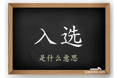 入选