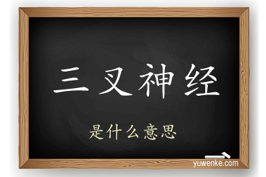 三叉神经