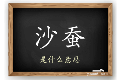 沙蚕