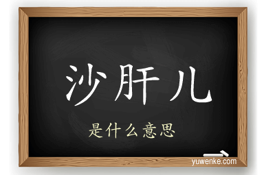 沙肝儿