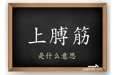 上膊筋