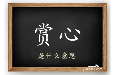 赏心