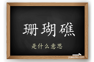 珊瑚礁