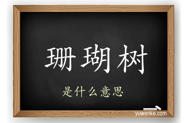 珊瑚树