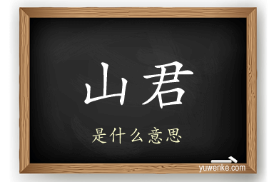 山君