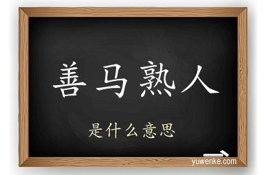 善马熟人