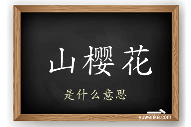 山樱花