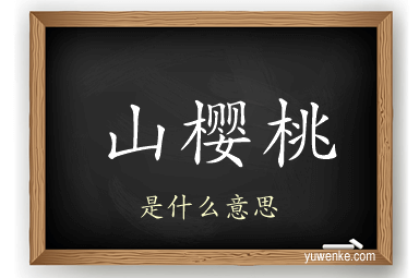 山樱桃