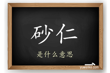 砂仁