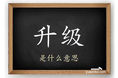 升级