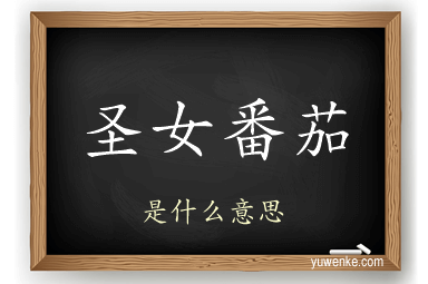 圣女番茄