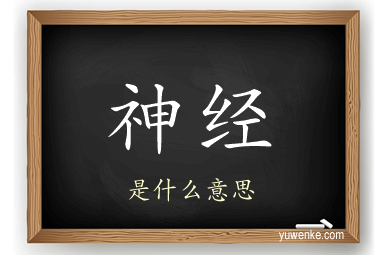 神经