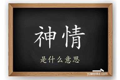 神情