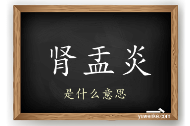 肾盂炎