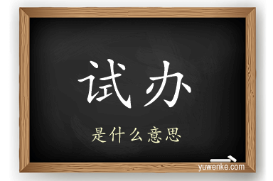 试办