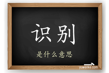 识别