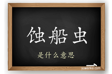 蚀船虫