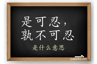 是可忍，孰不可忍