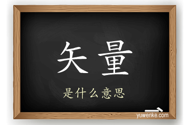 矢量