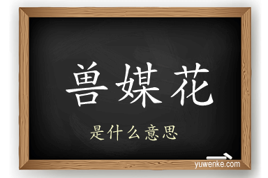 兽媒花