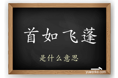 首如飞蓬