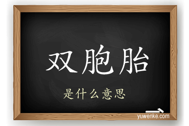 双胞胎