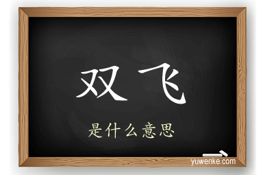 双飞