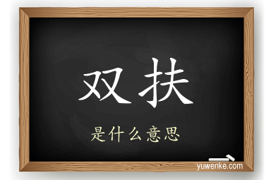 双扶