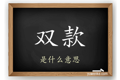 双款