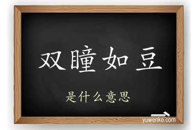 双瞳如豆